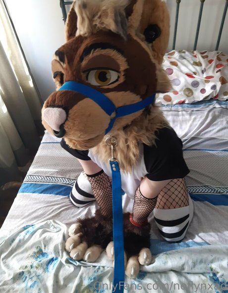 inside onlyfans free porn galleries