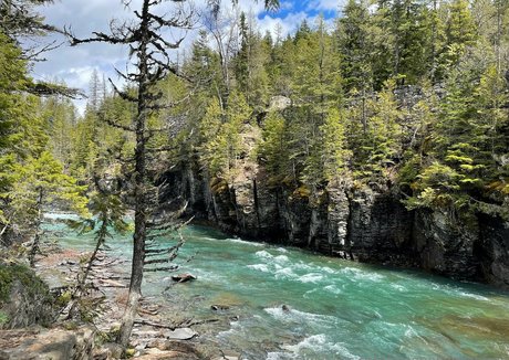 curvy xxx onlyfans best pic