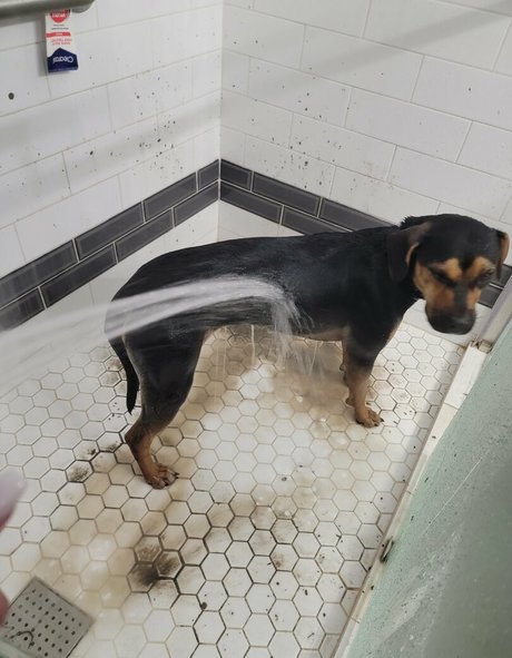 kodi salem pornstar high quality gallery