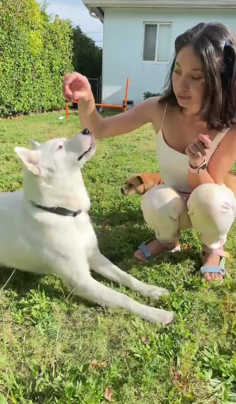 Lily Kawaii free pornstar pictures