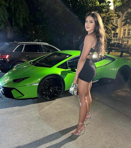 tatia labos star perfect gallery