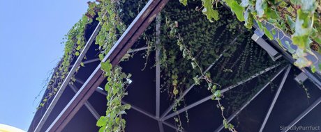 sinfullypurrfuct pornstar perfect galleries