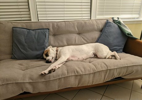 blowjob teen onlyfans free porn images