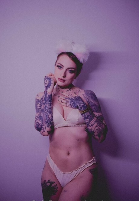 stephenvoyce star nudes galleries