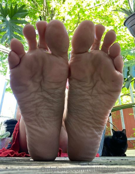 petite trans onlyfans hd archive