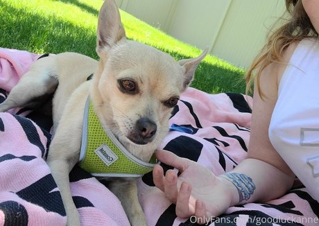 big tits pussy onlyfans free porn photo