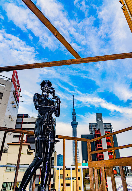 siranegi56 high quality star image