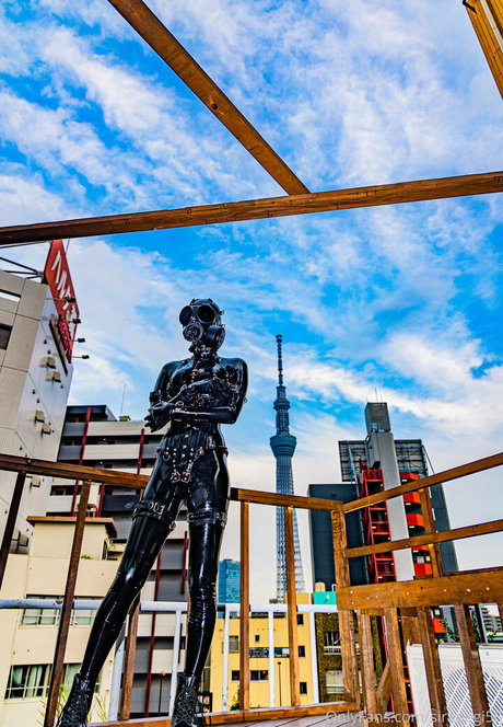 siranegi56 best actress photo