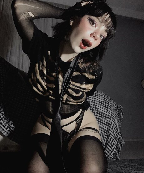 sugarspiceandevrytinnice beautiful star gallery