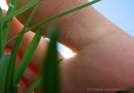 homegiant model top archive