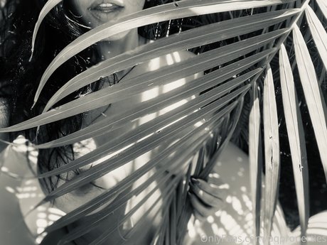 Abella Anderson star sex photo