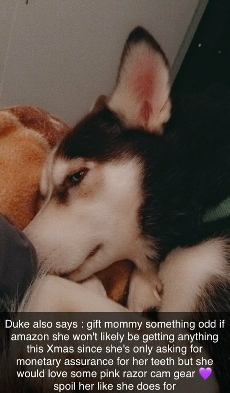 Embereon exclusive star picture