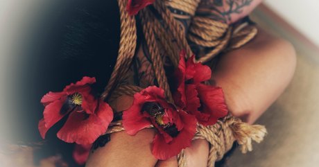 sugarskull bri porn model pics