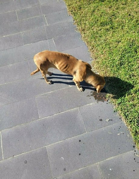 chubby babe onlyfans naked photo