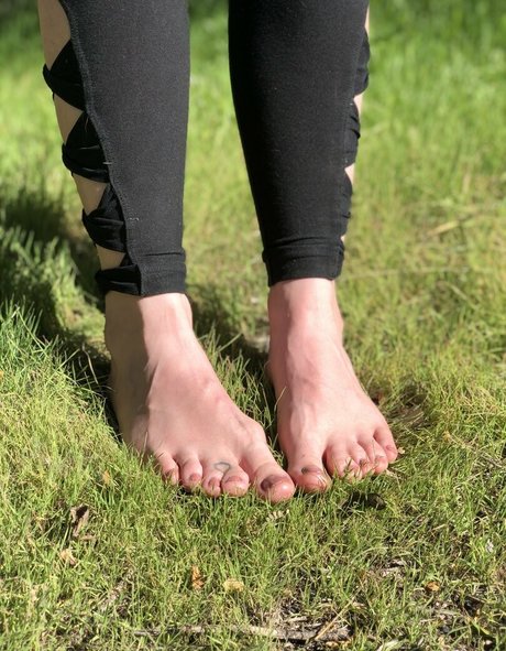 cutewebbies beautiful star gallery