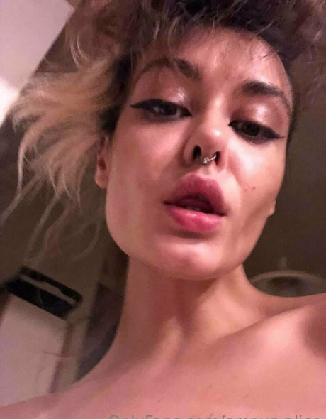 amour alice star perfect archive