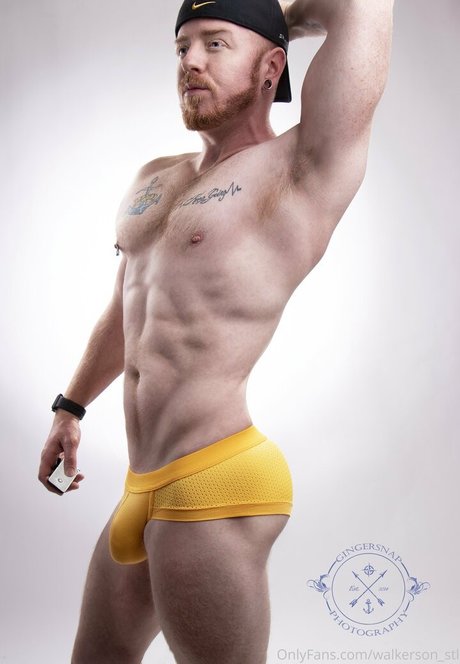 walkerson stl art actress gallery