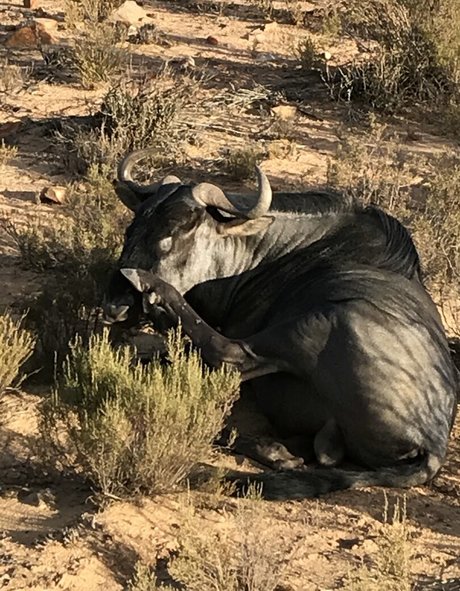 jimnewmannyc naked star photos