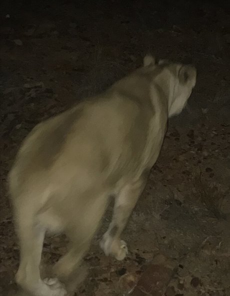 jimnewmannyc pornstar naked image