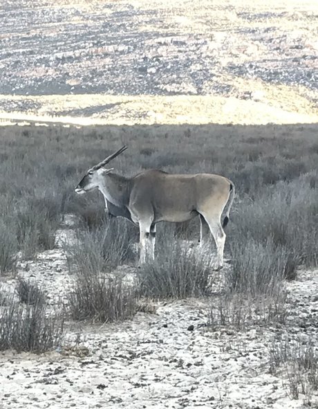 asian fake tits onlyfans pretty pictures