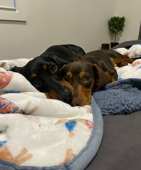 first time threesome onlyfans sexy nude images