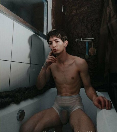 matthewteddy star beautiful archive