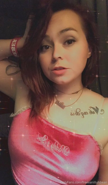 freevanilluhbean free pornstar archive