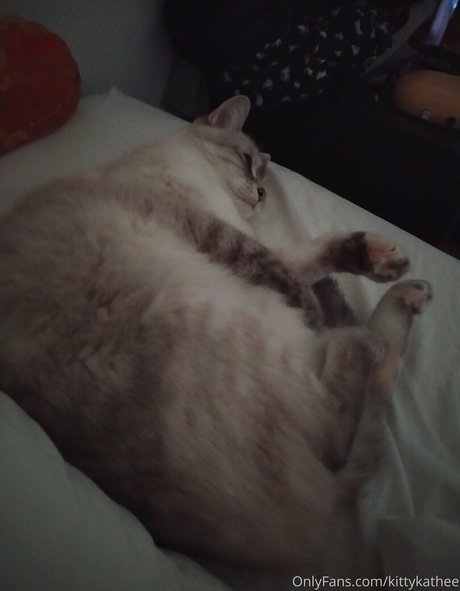 topless beach onlyfans art naked pictures