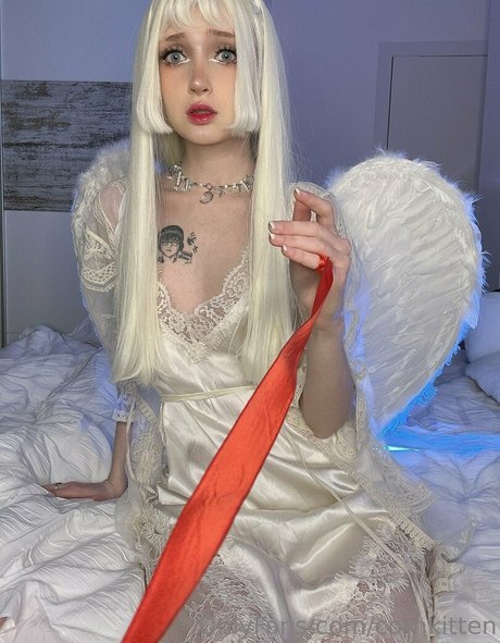 cornkitten étoile img