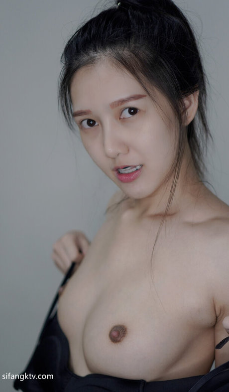 ndream modèle de haute qualité images