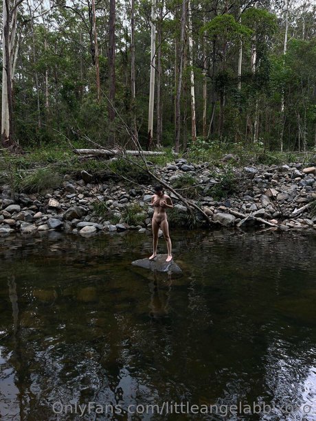 Little angel abbi étoile parfaite collection