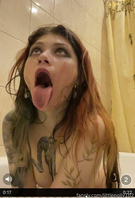 Little Polly meilleure étoile galeries