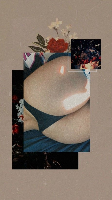 Azuleish jolie étoile galerie