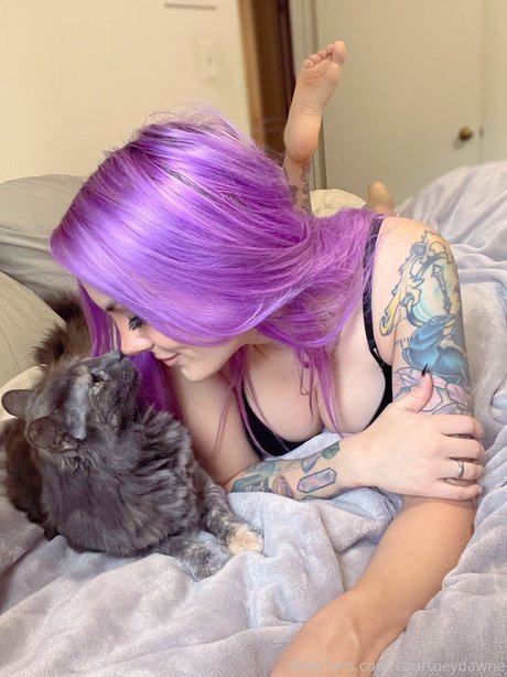 Courtney Dawne étoile adulte img