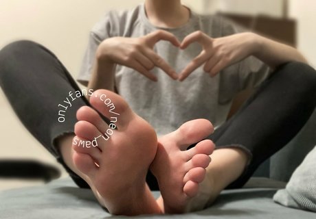 neon paws star du porno images