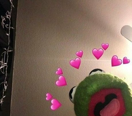 neon paws étoile nue photos