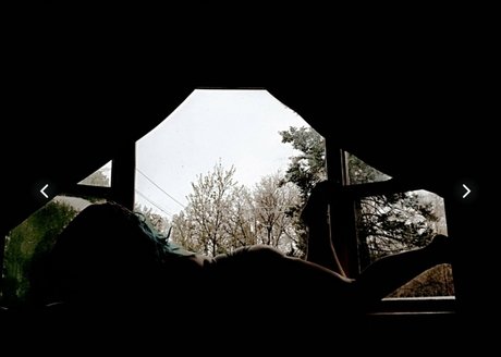 avalei free star du porno chaud collection