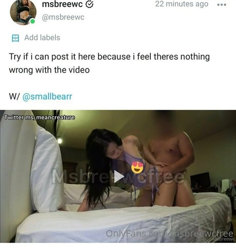 msbreewcfree nus de stars du porno galeries