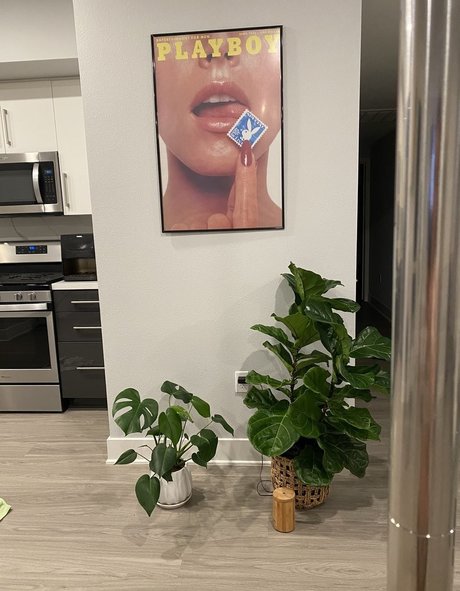 Japanesecream modèle joli archive