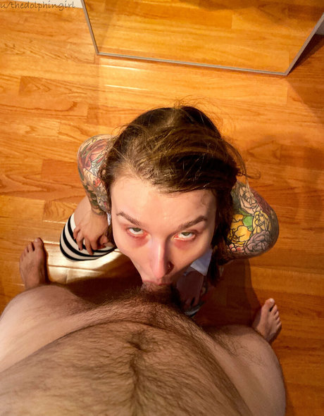 sbdolphin nus étoiles image