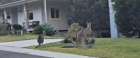 tammycheeks modèle exclusif photos