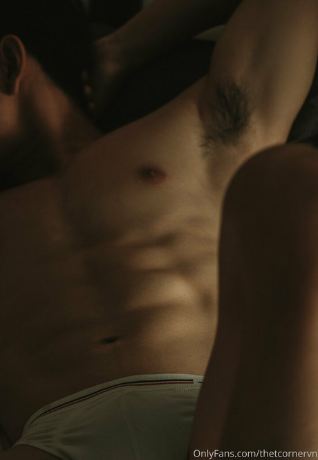 thetcornervn Profilfoto