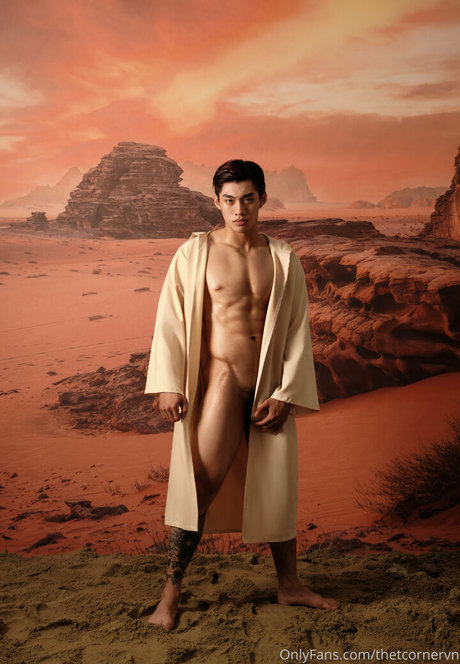 thetcornervn art de star du porno photo