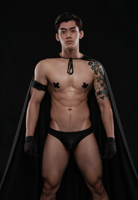 thetcornervn nus de stars du porno galerie