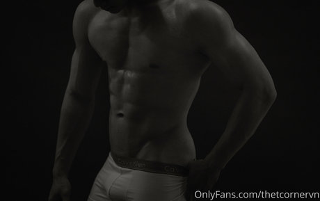 thetcornervn star du porno chaude archive