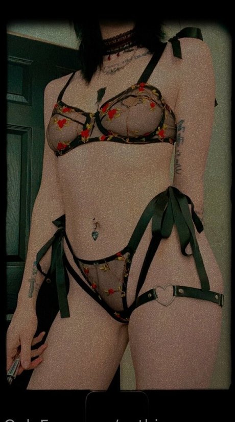 gothicmomma étoile de haute qualité collection