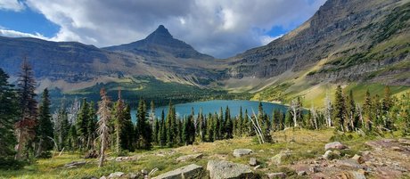 theofficialraybaby haut modèle des photos