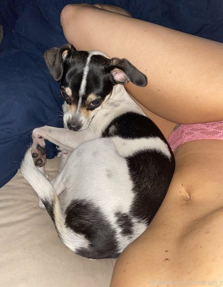 mariah r étoile de l'art image