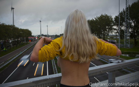 mikespeijk étoile gratuite galeries