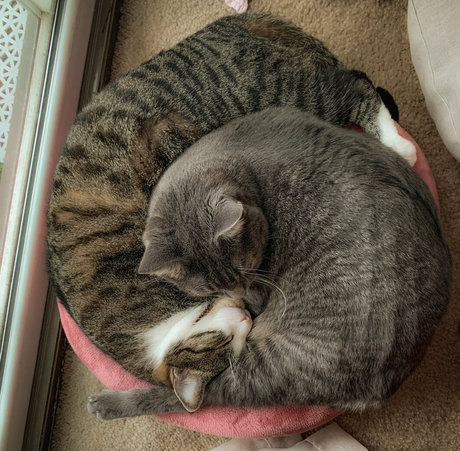 jadeleigh actrice de nus archive